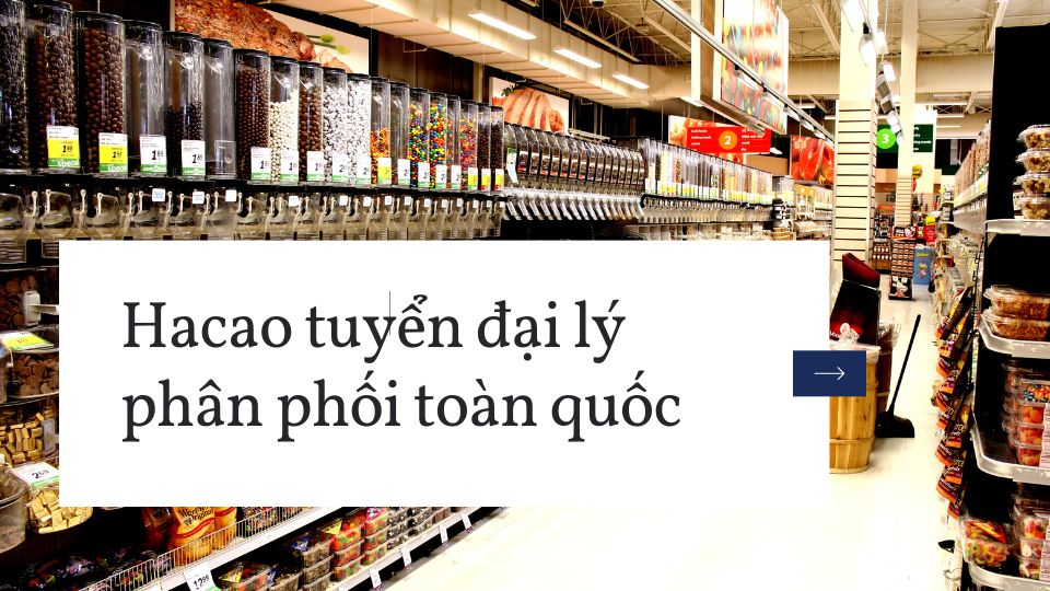 hacao tuyển đại lý toàn quốc